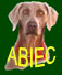 Association Belge d'identification et d'enregistrement canins