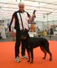 Je suis avec mon éleveur, Guy Bonnefoy, lors du Championnat de France à Strasbourg, et j'ai obtenu un Très Prometteur en classe Puppy