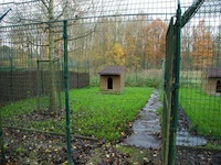 Pension canine - Photo infrastructure